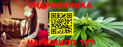 крисы Гусь-Хрустальный