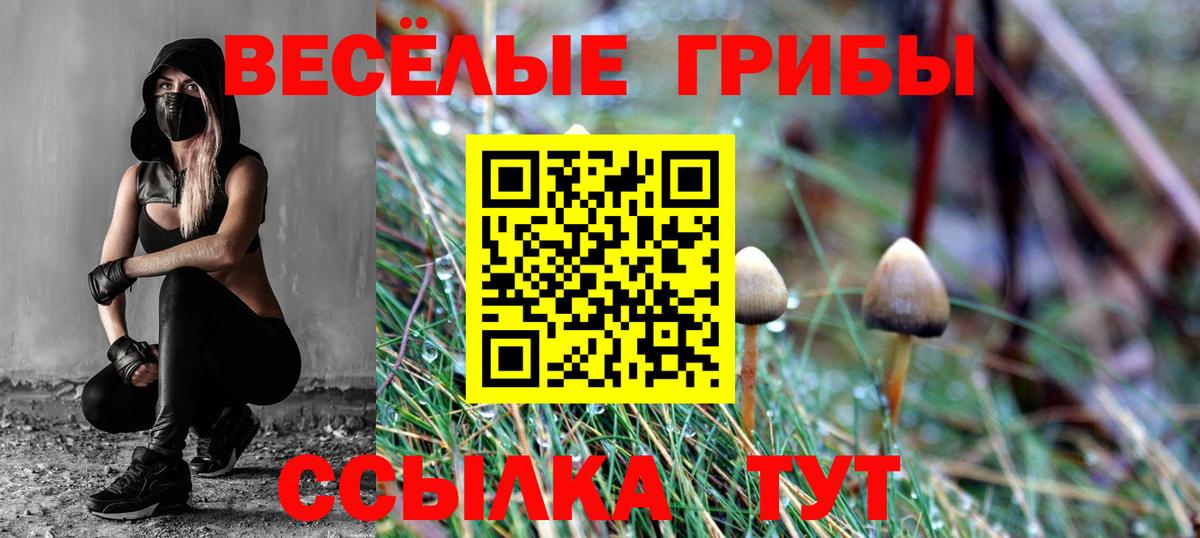 Кузнецк  Псилоцибиновые грибы GOLDEN TEACHER  Вход с VPN 