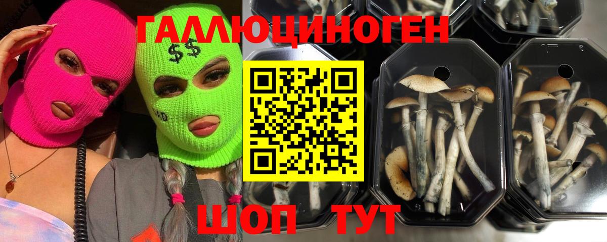 Псилоцибиновые грибы мухоморы Кузнецк