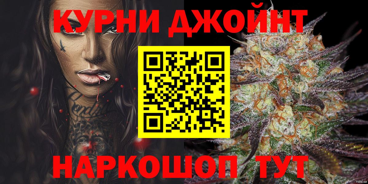 Конопля гибрид Кузнецк